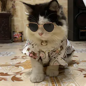 Kacamata Kucing Murah Lucu Aksesoris Hewan