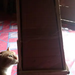 ukulele senar 4 termurah gratis packing kayu Hadiah