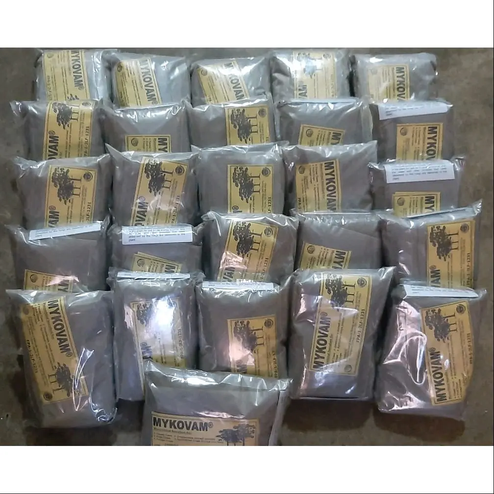 MYKOVAM Biofertilizer Mycorrhizal Inoculant (1 kg/pack) - TikTok Shop ...