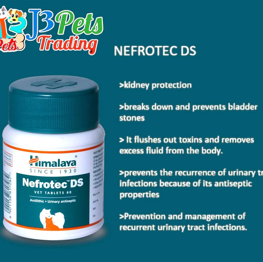 NEFROTEC REGULAR AND DS TABLET FOR URINARY CAT AND DOG - TikTok Shop ...